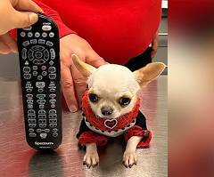 Do you have an off the wall goal in your lifetime? Please tell us if your not to shy? How about a world record?