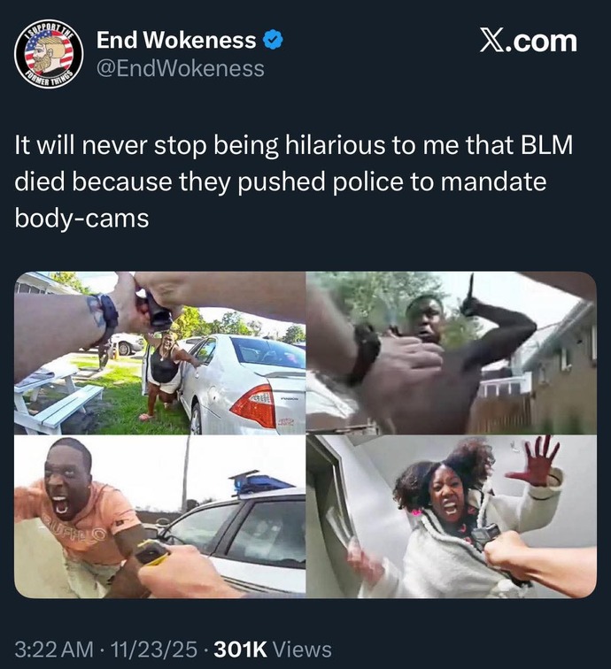 Has Police Bodycams ended the BLM movement?