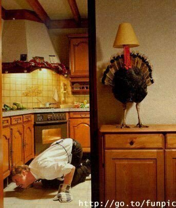 If YOU were a Turkey on Thanksgiving what would you do to prevent yourself from being human food?