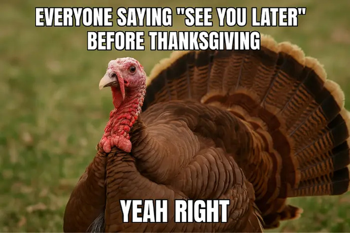 If YOU were a Turkey on Thanksgiving what would you do to prevent yourself from being human food?