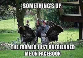 If YOU were a Turkey on Thanksgiving what would you do to prevent yourself from being human food?