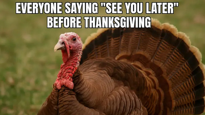 If YOU were a Turkey on Thanksgiving what would you do to prevent yourself from being human food?