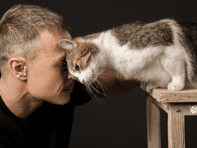 Would you rather have a human companion or a cat?
