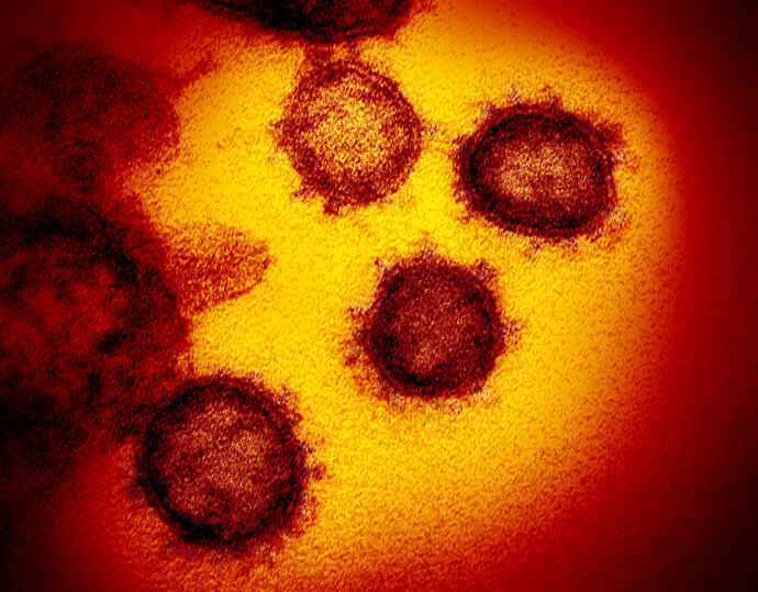 Have you read the latest research on Covid vaccines for children?