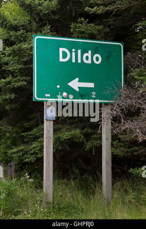 What’s the longest road trip you’ve been on?