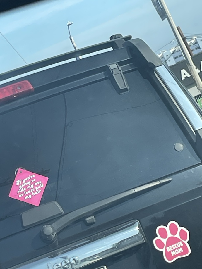 How do you feel about this car window sticker?