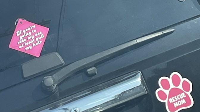 How do you feel about this car window sticker?