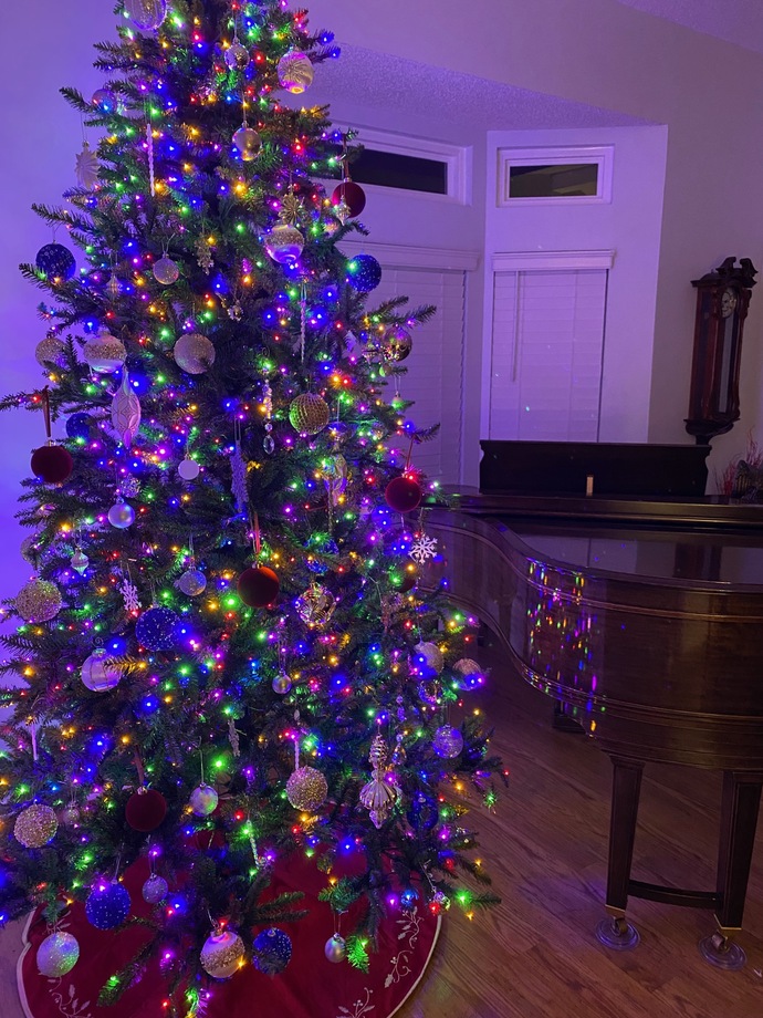 Have you put up you Christmas tree yet? ?