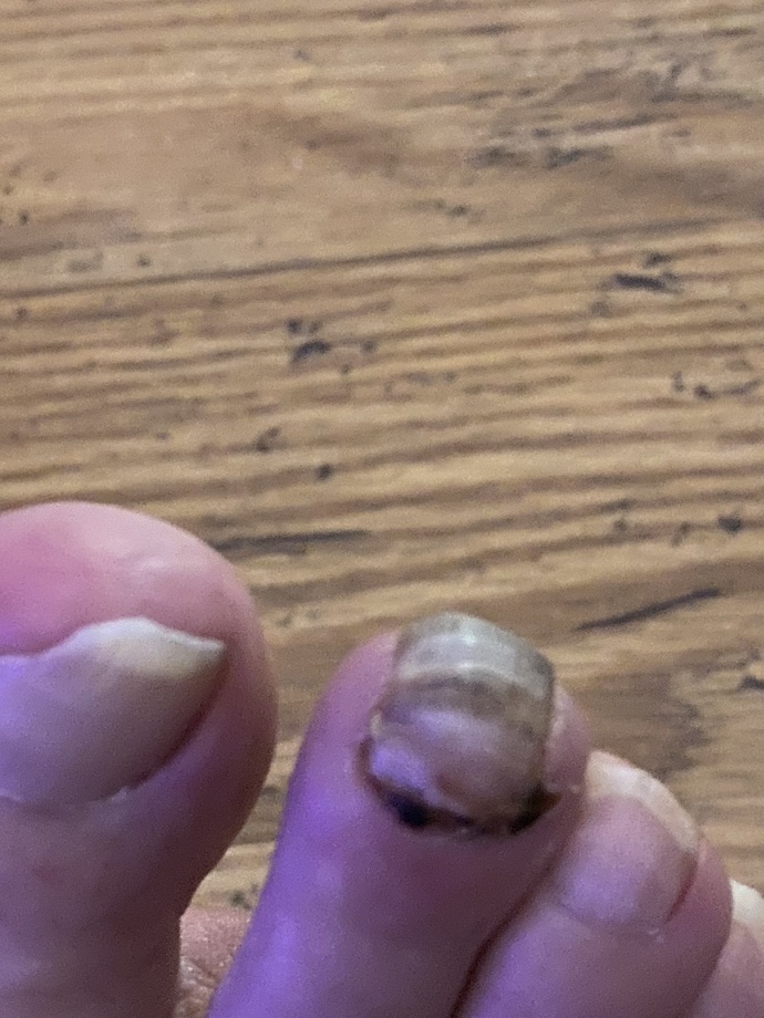 Looks disgusting, doesn't it?
