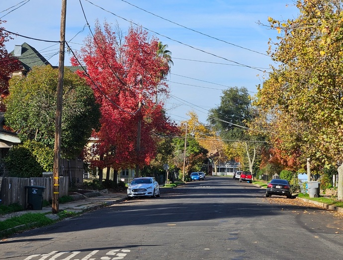 Do you still have Fall colors where you live?