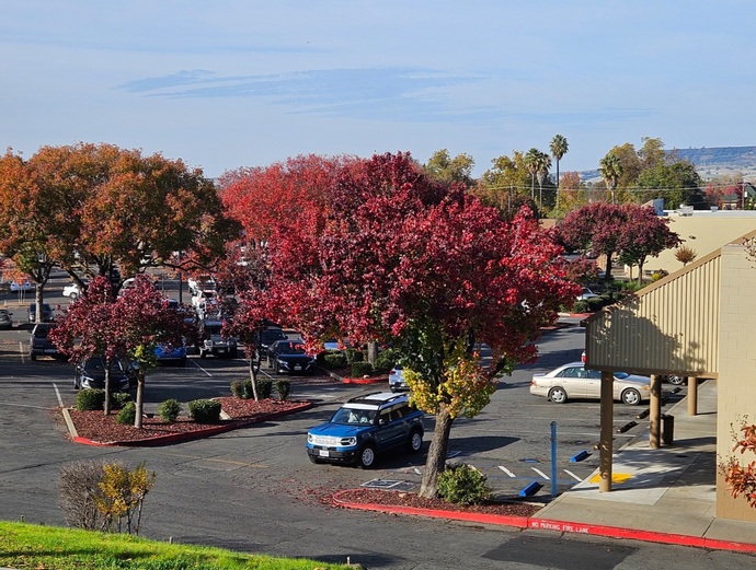 Do you still have Fall colors where you live?