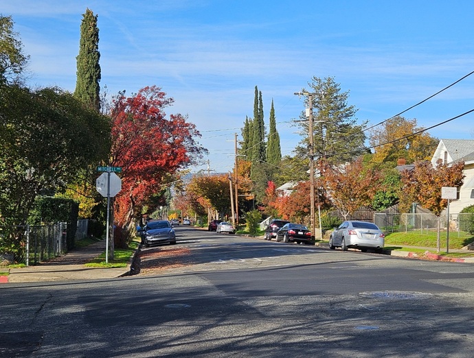 Do you still have Fall colors where you live?