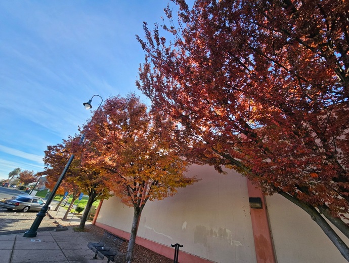 Do you still have Fall colors where you live?