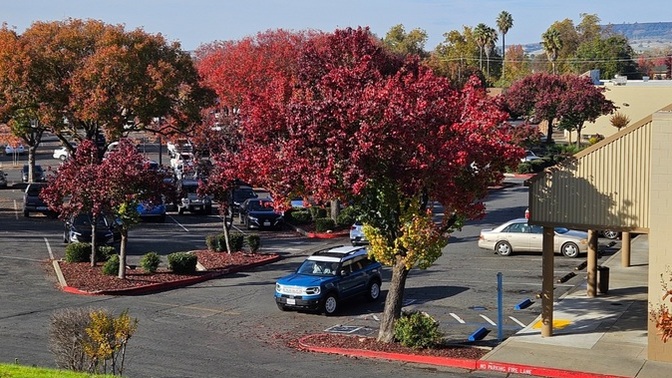 Do you still have Fall colors where you live?
