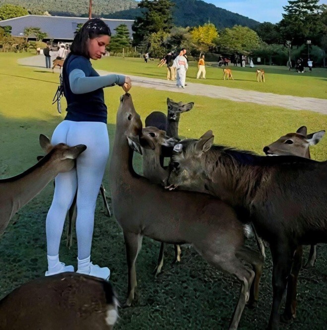 When feeding a group of animals do you make sure they all get a share?