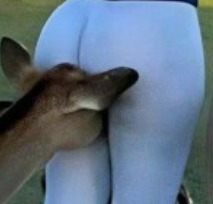 When feeding a group of animals do you make sure they all get a share?