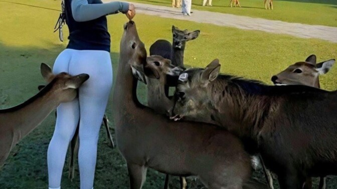 When feeding a group of animals do you make sure they all get a share?