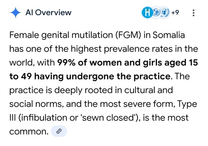 What are your thoughts on Trump reffering to Somalis as garbage?
