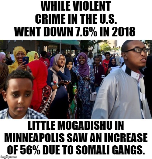 What are your thoughts on Trump reffering to Somalis as "garbage"?