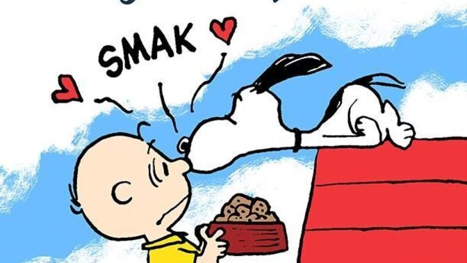 Girls, What’s a small or subtle thing a man/woman did that made you realize he/she genuinely cares about you?