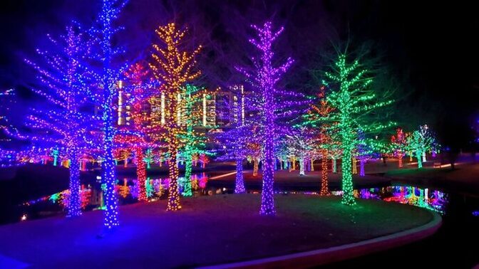 What's your favorite thing to see during the holiday season?