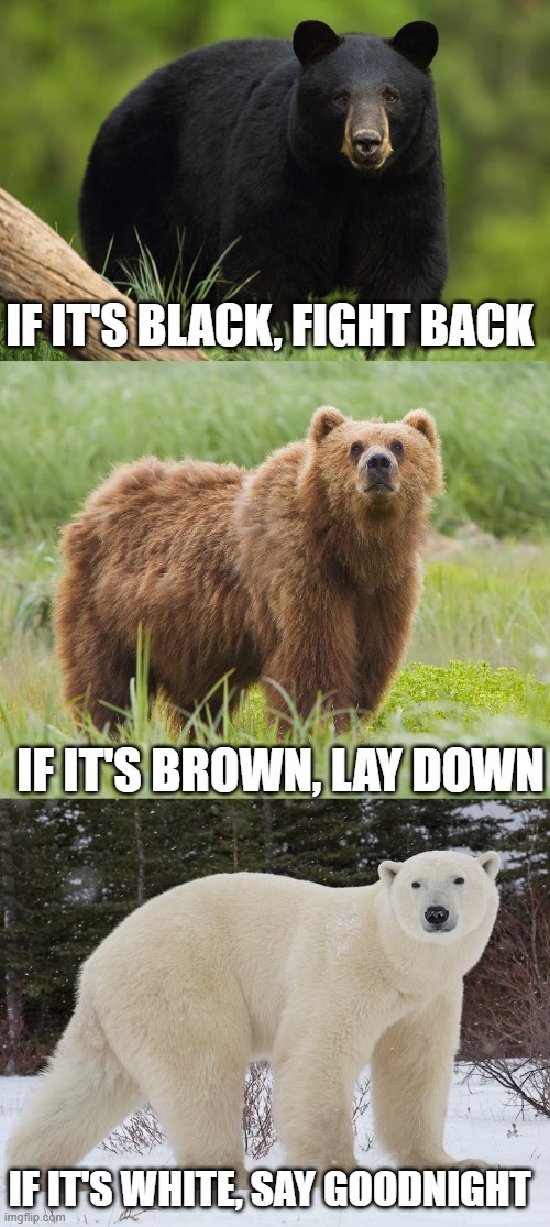 Which animal would you be most afraid to run into in the wild?