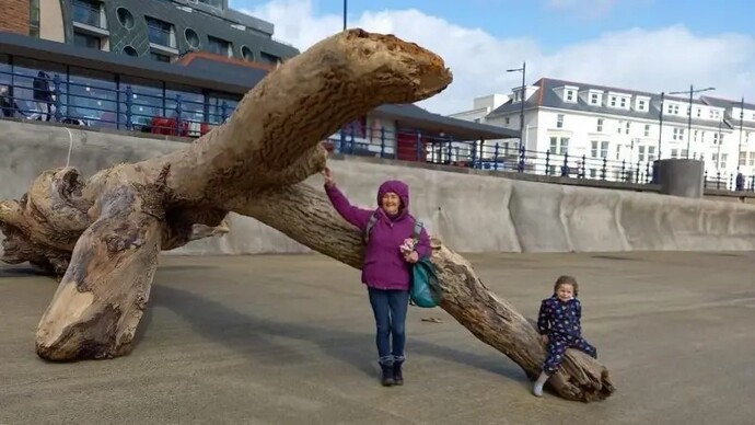 Did you have a favourite childhood log?