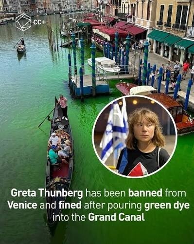 What kind of liberal bonehead would die the Venice canals green?