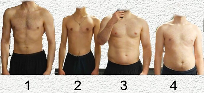 Which of these body types is the most attarctive?
