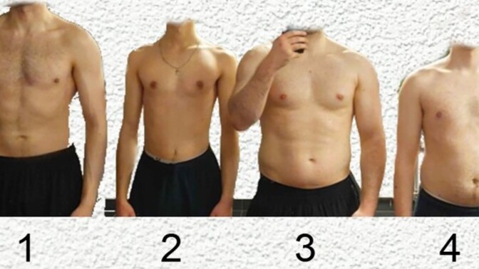 Which of these body types is the most attarctive?