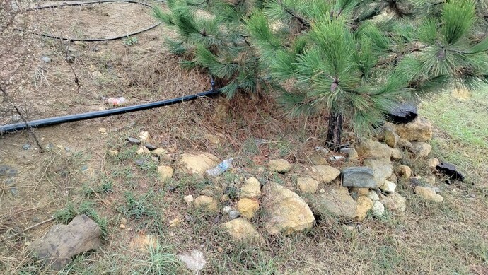 Where was the last place you peed?