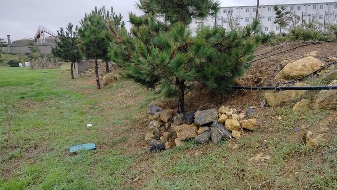 Where was the last place you peed?