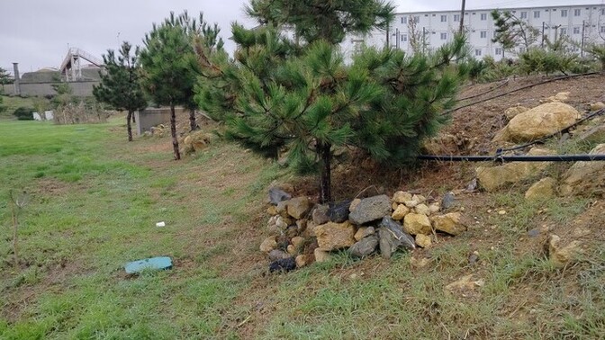 Where was the last place you peed?