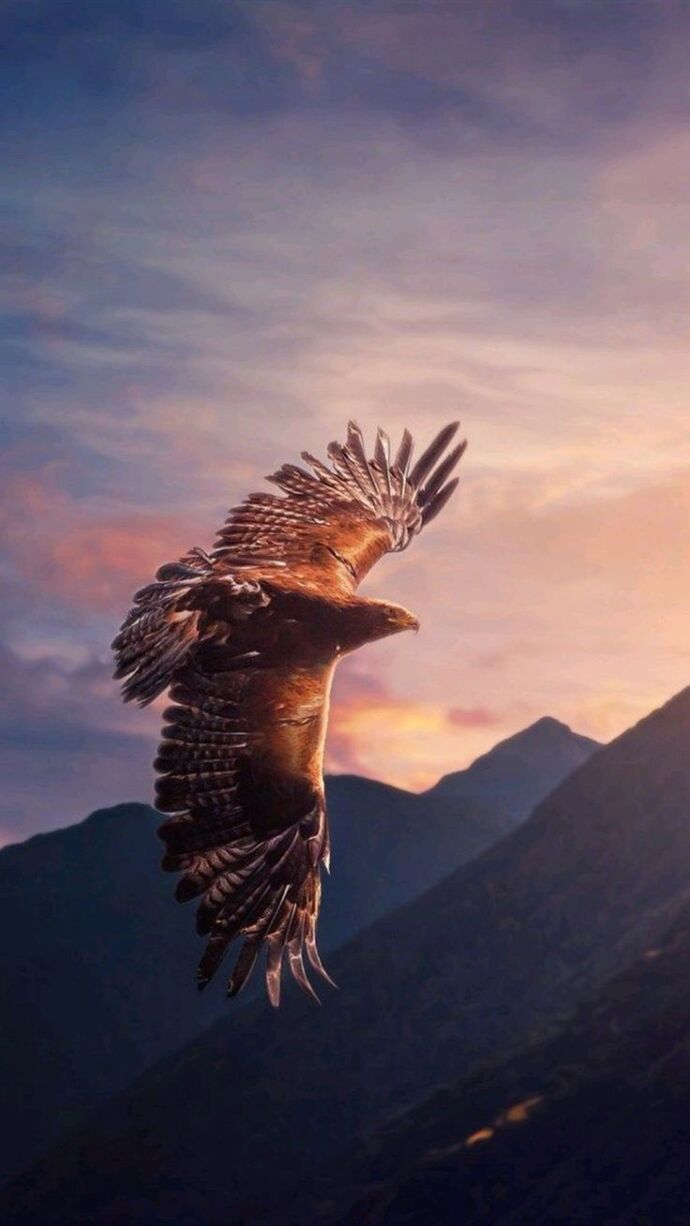 What is your spirit animal?