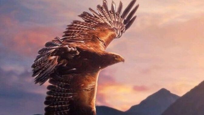 What is your spirit animal?