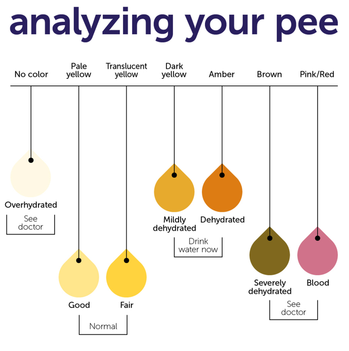 Did you know that when youβre drinking you pee clear?