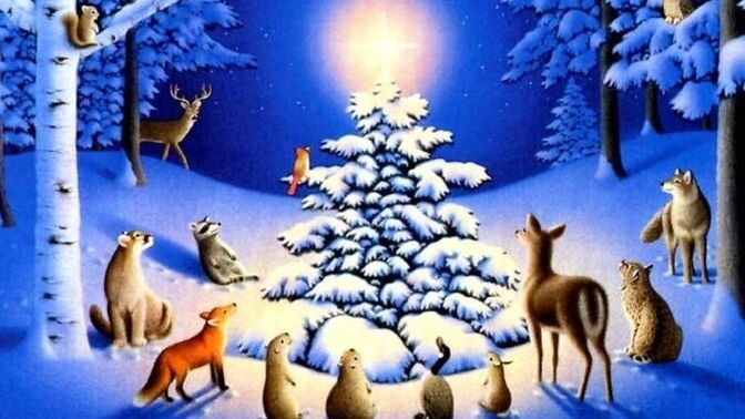 What does Christmas really mean to you?