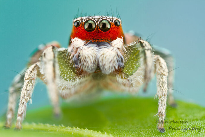 Do you ever have any unwelcome visitors in your home?