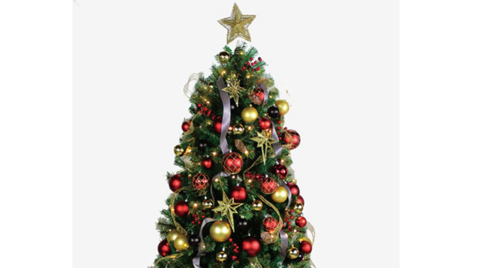 How do you like the Christmas Tree decorated?