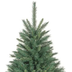 What should be on the Christmas Tree Top?