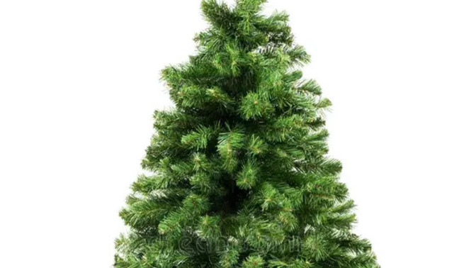 What should be on the Christmas Tree Top?