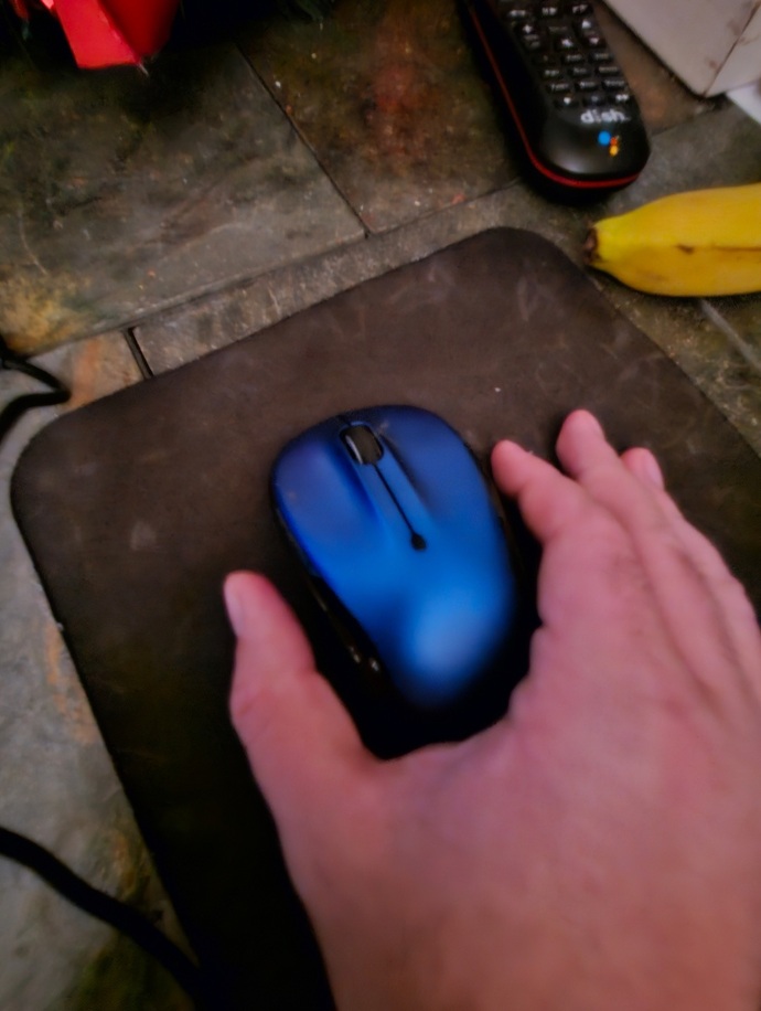 Which type of mouse do you prefer?