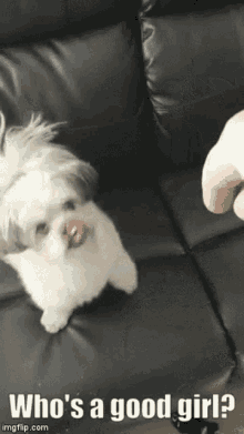 good girl...