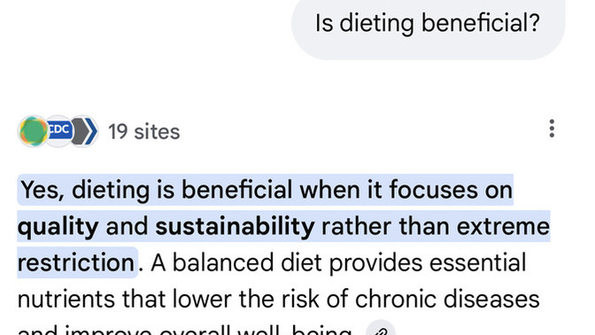 What’s your honest opinion on Google AI?