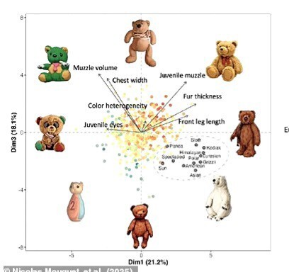 Should Teddy Bears be Banned?