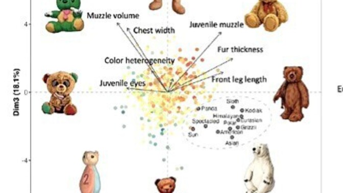 Should Teddy Bears be Banned?