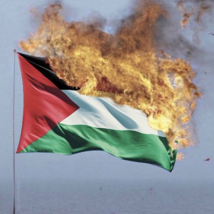 What should happen to those that burn the Palestine flag?