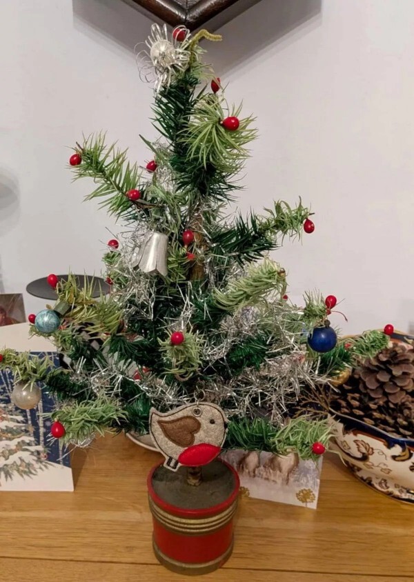 How old is your Christmas tree?