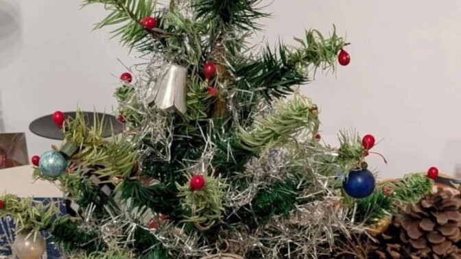 How old is your Christmas tree?