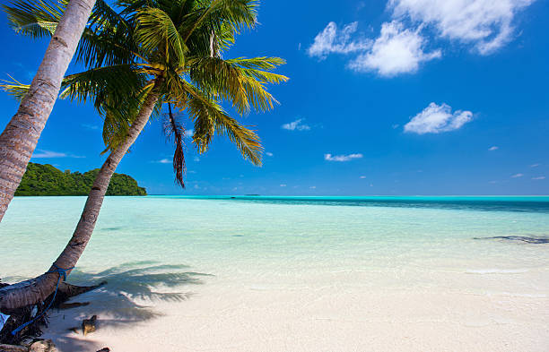 What are your thoughts on Palau taking third world migrants?